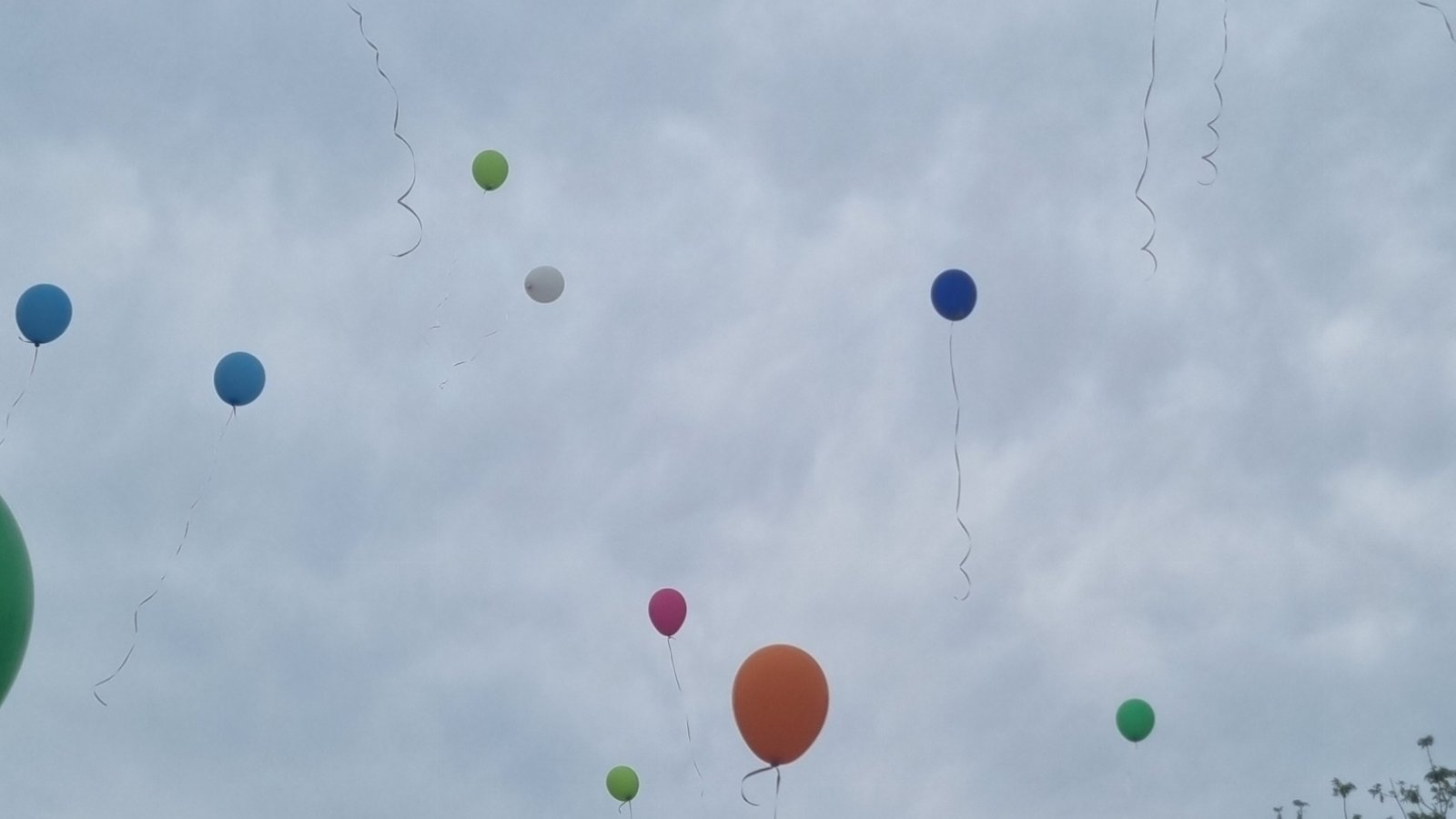 Bunte Luftballons die in den Himmel aufsteigen