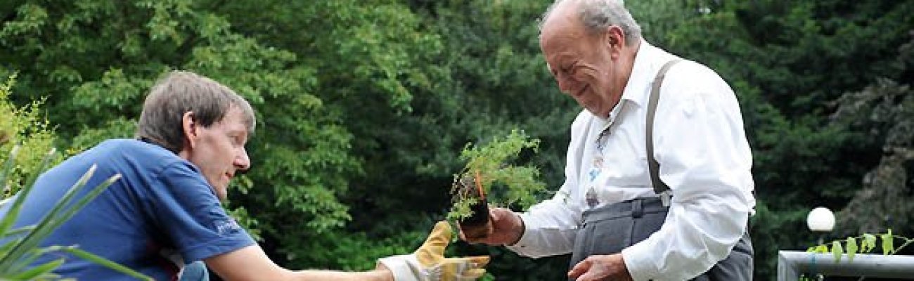 Älterer Herr im Garten mit einem Helfer.